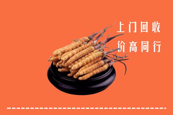 高价求购：沁水县回收散虫草