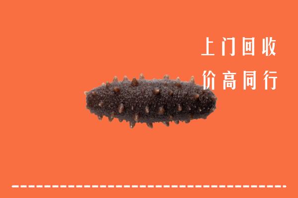 高价求购：沁水县回收海参