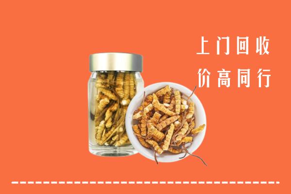 沁水县回收冬虫夏草